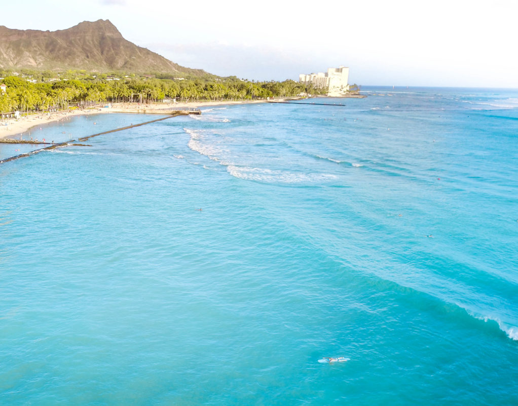 Waikiki Surf